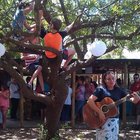 2014 Xmas Alyssa du Gard 2014 Xmas Alyssa du Gard